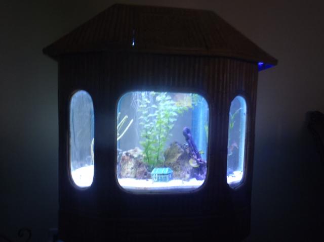 tiki fish tank