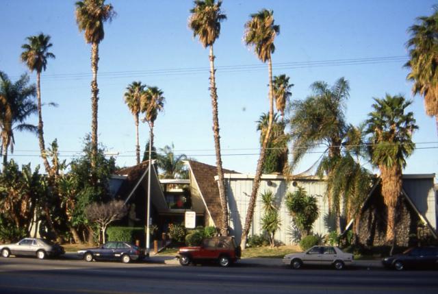 Apartments in LA -- Tiki Central