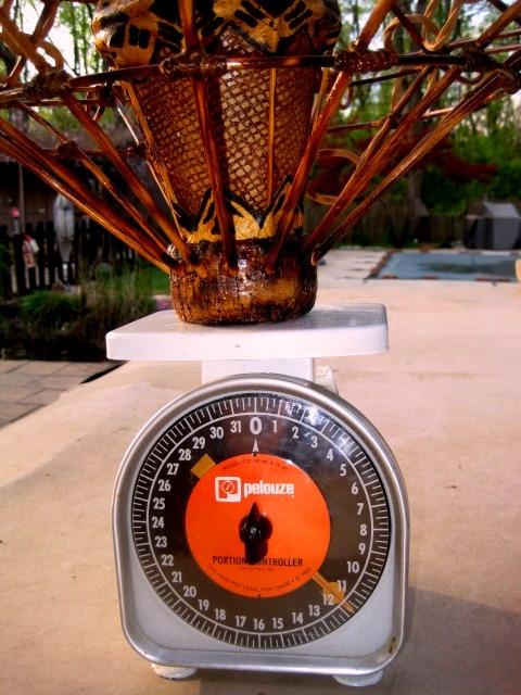 Tikiskip's / Kahiki lamp,Tiki bar lights, fishing float light -- Tiki Central